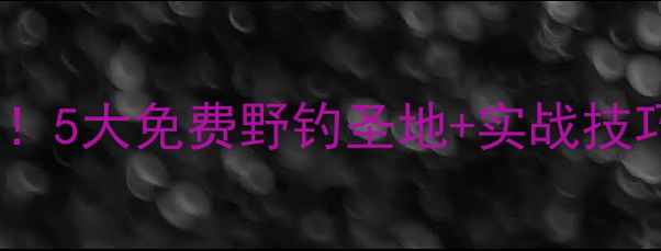 图片 ✨淮南野钓天花板推荐！5大免费野钓圣地+实战技巧，附详细地图攻略🌾1