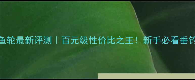 图片 中通鱼竿+鱼轮最新评测｜百元级性价比之王！新手必看垂钓套装推荐2