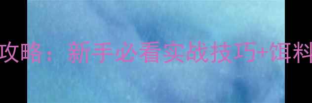 图片 冬季夜钓鲫鱼全攻略：新手必看实战技巧+饵料配方+避坑指南1