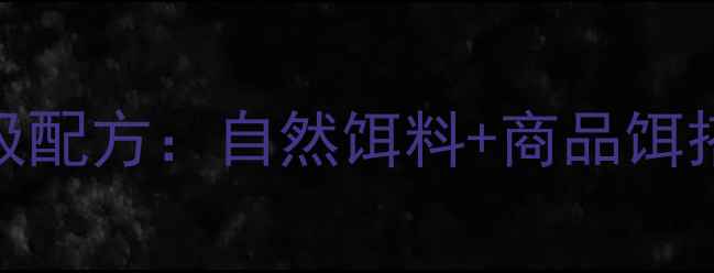 图片 北京四季钓鱼饵料终极配方：自然饵料+商品饵搭配技巧与实战经验全