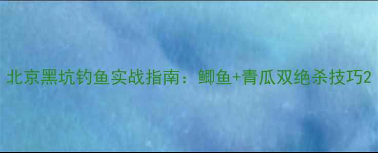 图片 北京黑坑钓鱼实战指南：鲫鱼+青瓜双绝杀技巧2