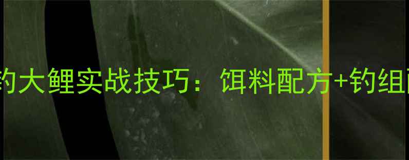 图片 南方黑坑初冬钓大鲤实战技巧：饵料配方+钓组配置+作钓口诀