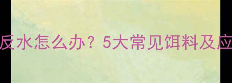 图片 垂钓饵料反水怎么办？5大常见饵料及应对技巧全