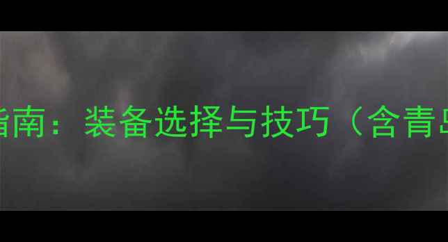 图片 夜间海钓路亚实战指南：装备选择与技巧（含青岛、大连等地案例）