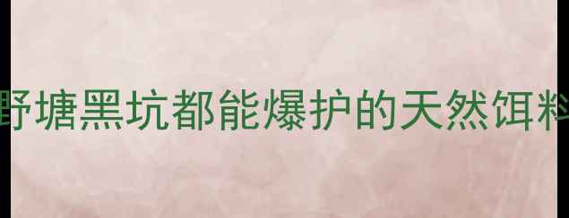 图片 大蒜野钓绝招！野塘黑坑都能爆护的天然饵料制作与实战攻略