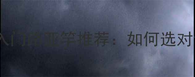 图片 新手必看！平价入门路亚竿推荐：如何选对调性轻松上鱼？1