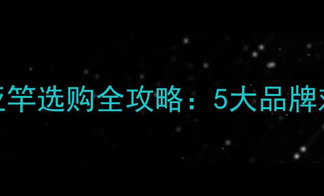 图片 新手必看！路亚竿选购全攻略：5大品牌对比+避坑技巧2