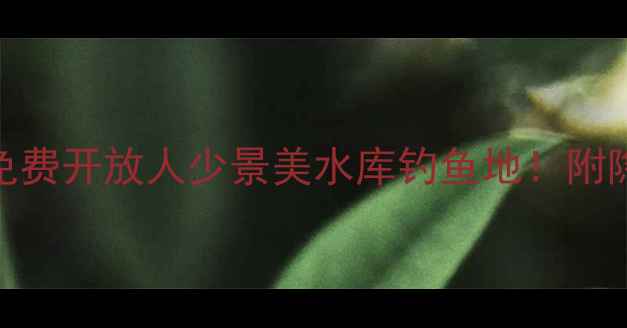 图片 最新推荐全国10大免费开放人少景美水库钓鱼地！附隐藏钓位+装备清单2