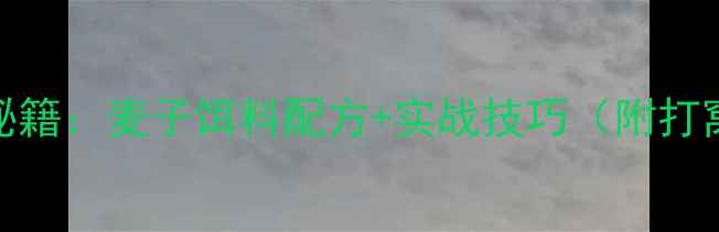 图片 秋季野钓鲫鱼秘籍：麦子饵料配方+实战技巧（附打窝调漂全流程）