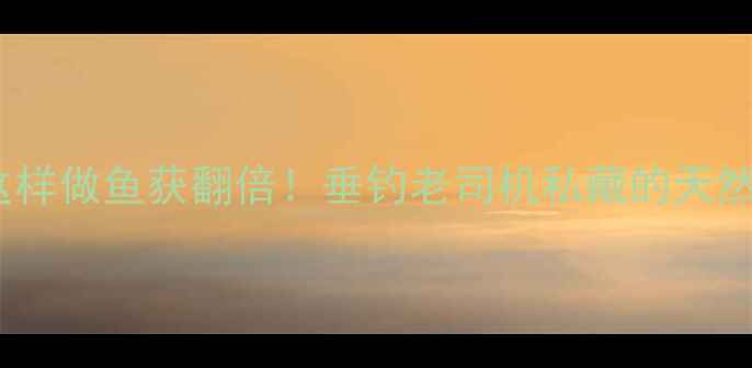 图片 紫菜饵料这样做鱼获翻倍！垂钓老司机私藏的天然饵料配方1