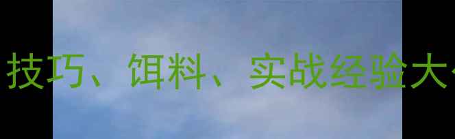 图片 草塘钓鲫鱼全攻略：技巧、饵料、实战经验大公开（附精准配方）