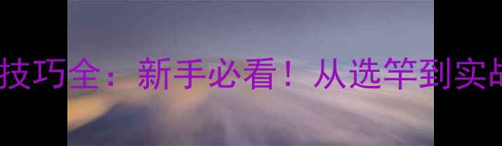 图片 路亚钓竿使用技巧全：新手必看！从选竿到实战的完整指南1