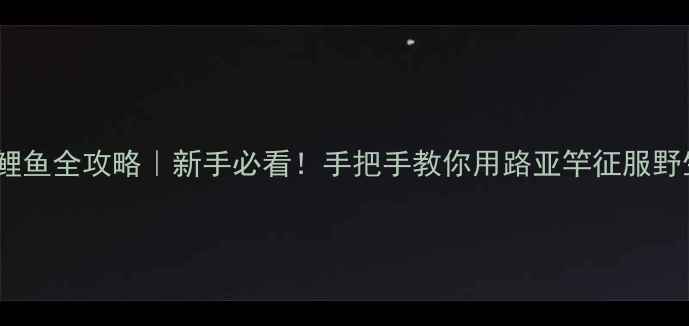 图片 路亚钓鲤鱼全攻略｜新手必看！手把手教你用路亚竿征服野生鲤鱼2