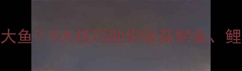 图片 野钓如何钓大鱼？5大技巧助你收获鲈鱼、鲤鱼、草鱼全