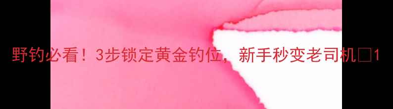 图片 野钓必看！3步锁定黄金钓位，新手秒变老司机🎣1