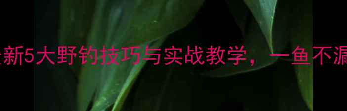 图片 野钓鲫鱼必看！最新5大野钓技巧与实战教学，一鱼不漏的鲫鱼诱钓秘籍2