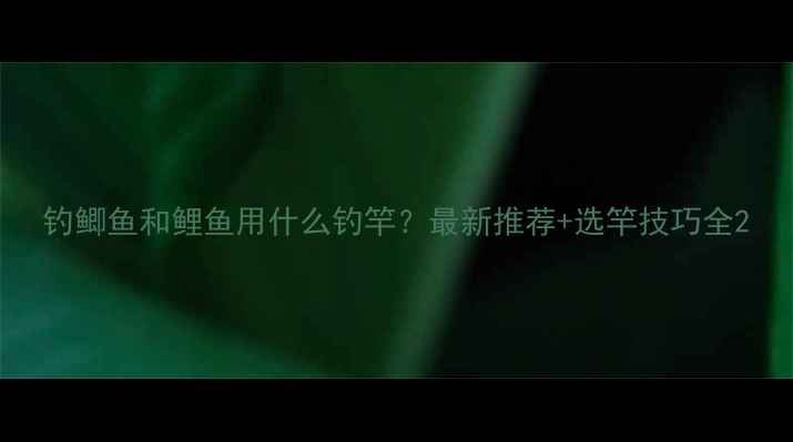 图片 钓鲫鱼和鲤鱼用什么钓竿？最新推荐+选竿技巧全2