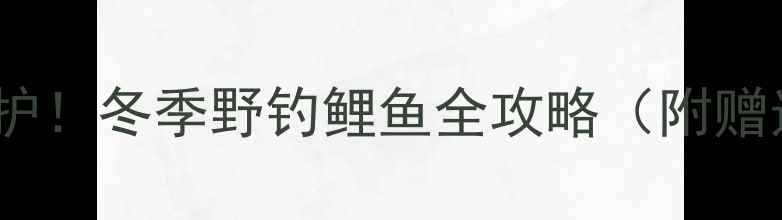 图片 零下10度也能连竿爆护！冬季野钓鲤鱼全攻略（附赠选位技巧+饵料配方）
