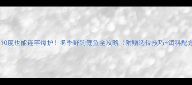 图片 零下10度也能连竿爆护！冬季野钓鲤鱼全攻略（附赠选位技巧+饵料配方）2