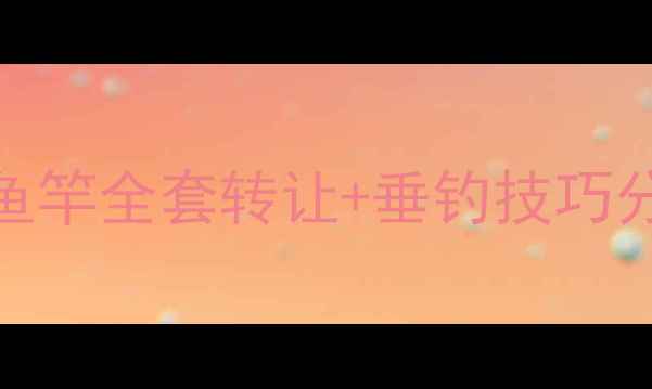 图片 高性价比本地二手鱼竿全套转让+垂钓技巧分享（附购买指南）