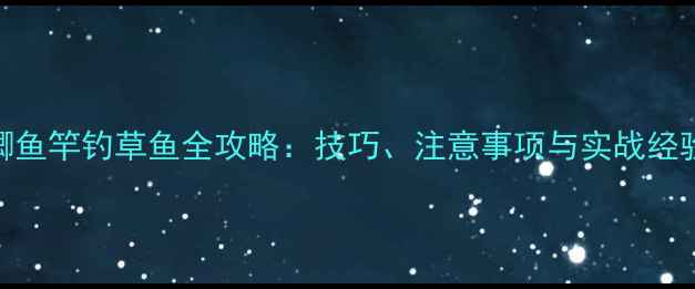 图片 鲫鱼竿钓草鱼全攻略：技巧、注意事项与实战经验
