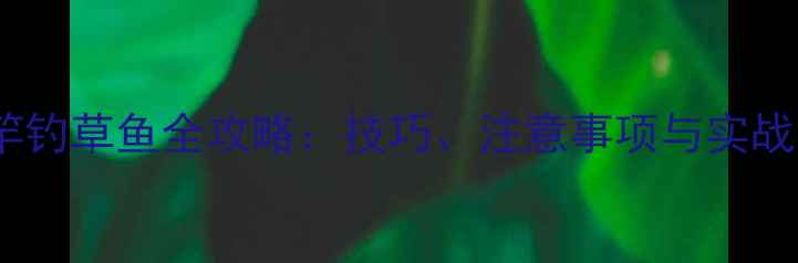 图片 鲫鱼竿钓草鱼全攻略：技巧、注意事项与实战经验1