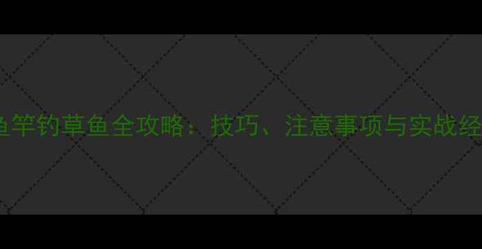 图片 鲫鱼竿钓草鱼全攻略：技巧、注意事项与实战经验2