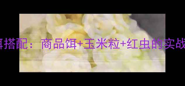 图片 鳊鱼钓鱼最佳鱼饵搭配：商品饵+玉米粒+红虫的实战技巧与季节选择2