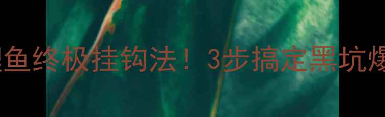 图片 麦子钓鲤鱼终极挂钩法！3步搞定黑坑爆护秘诀2