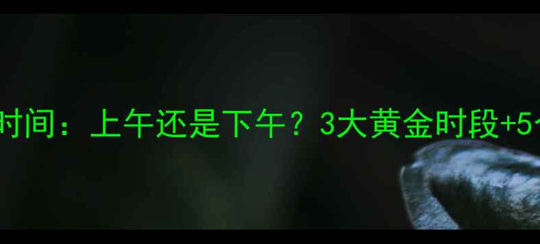 图片 黑坑垂钓最佳时间：上午还是下午？3大黄金时段+5个关键细节全1