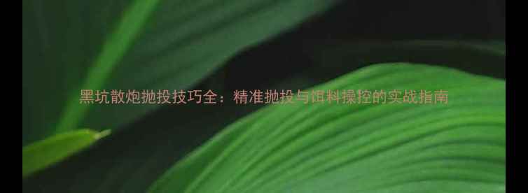 图片 黑坑散炮抛投技巧全：精准抛投与饵料操控的实战指南