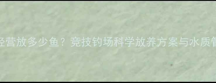 图片 黑坑经营放多少鱼？竞技钓场科学放养方案与水质管理全