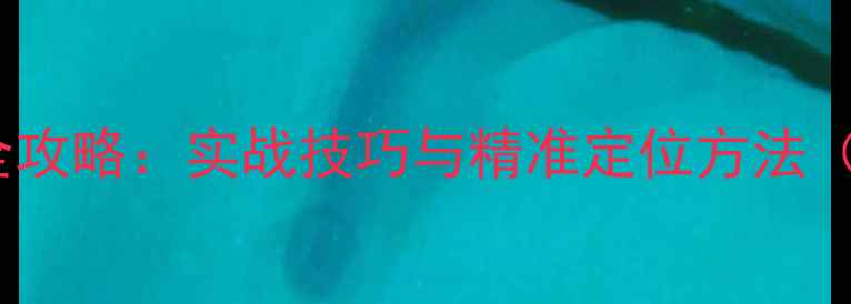 图片 黑坑鲫鱼选位全攻略：实战技巧与精准定位方法（附鱼情分析）1