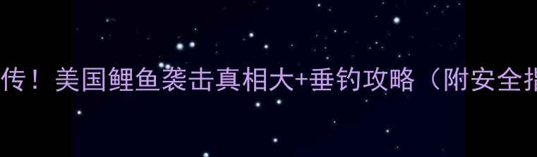 图片 🌟全网疯传！美国鲤鱼袭击真相大+垂钓攻略（附安全指南）🌟2
