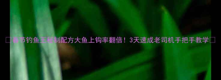 图片 🌟春节钓鱼王秘制配方大鱼上钩率翻倍！3天速成老司机手把手教学🎣