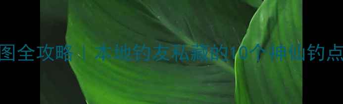 图片 🌟重庆野钓地图全攻略｜本地钓友私藏的10个神仙钓点+避坑指南🎣2