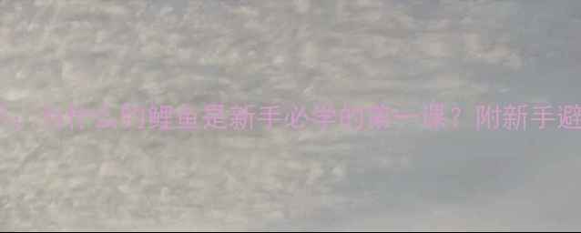 图片 🌟钓鱼老手：为什么钓鲤鱼是新手必学的第一课？附新手避坑指南🌟1