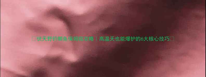 图片 🔥伏天野钓鲫鱼保姆级攻略｜高温天也能爆护的6大核心技巧🔥