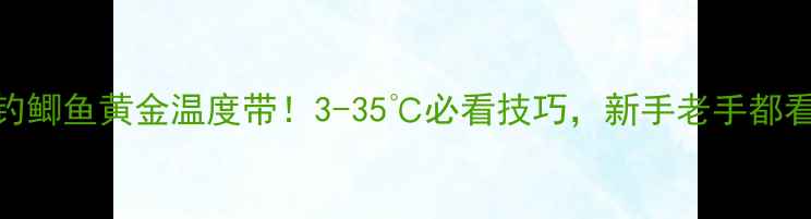 图片 🔥南方钓鲫鱼黄金温度带！3-35℃必看技巧，新手老手都看这篇🎣
