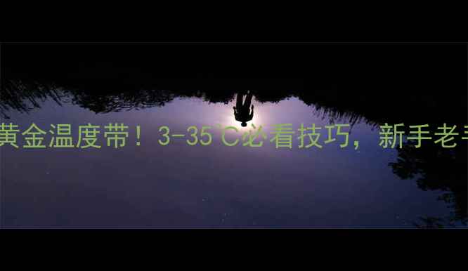 图片 🔥南方钓鲫鱼黄金温度带！3-35℃必看技巧，新手老手都看这篇🎣1