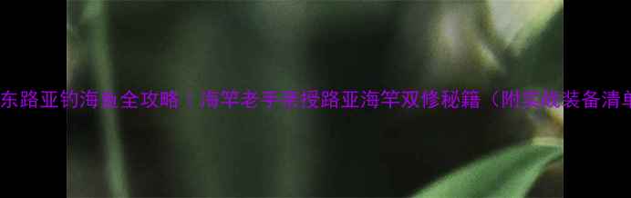 图片 🔥山东路亚钓海鱼全攻略｜海竿老手亲授路亚海竿双修秘籍（附实战装备清单）2