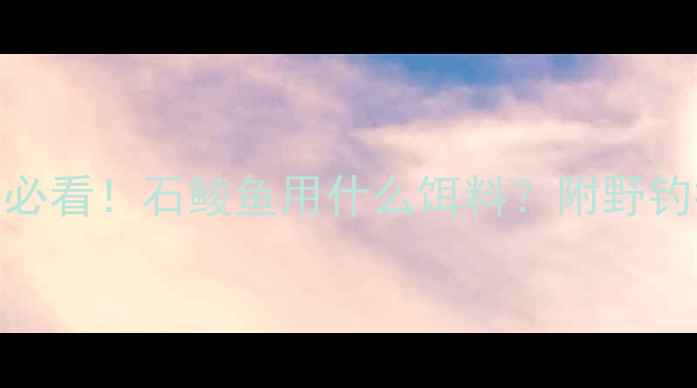 图片 🔥广东石鲮鱼野钓必看！石鲮鱼用什么饵料？附野钓技巧和注意事项🔥