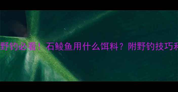 图片 🔥广东石鲮鱼野钓必看！石鲮鱼用什么饵料？附野钓技巧和注意事项🔥1