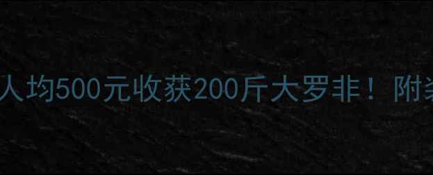 图片 🔥海南野钓攻略｜人均500元收获200斤大罗非！附装备清单+实战技巧