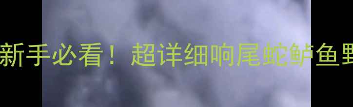 图片 🔥路亚终极攻略｜新手必看！超详细响尾蛇鲈鱼野钓技巧+装备清单