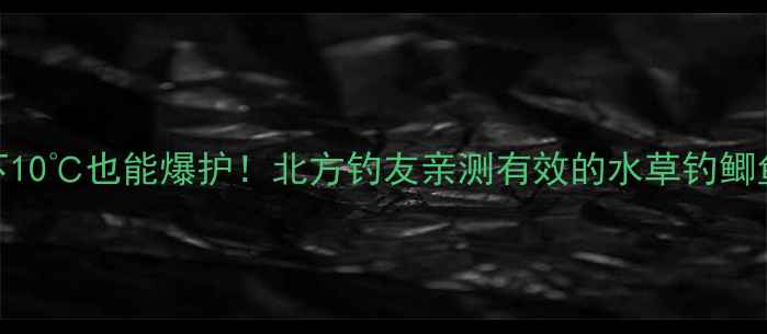 图片 🔥零下10℃也能爆护！北方钓友亲测有效的水草钓鲫鱼秘籍