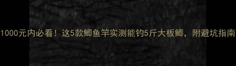 图片 1000元内必看！这5款鲫鱼竿实测能钓5斤大板鲫，附避坑指南