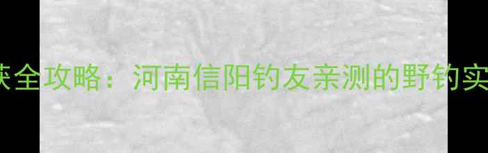 图片 100公斤大鲤鱼钓获全攻略：河南信阳钓友亲测的野钓实战技巧与饵料配方