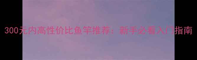 图片 300元内高性价比鱼竿推荐：新手必看入门指南