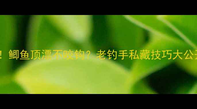 图片 3步解决！鲫鱼顶漂不咬钩？老钓手私藏技巧大公开！🎣🐟